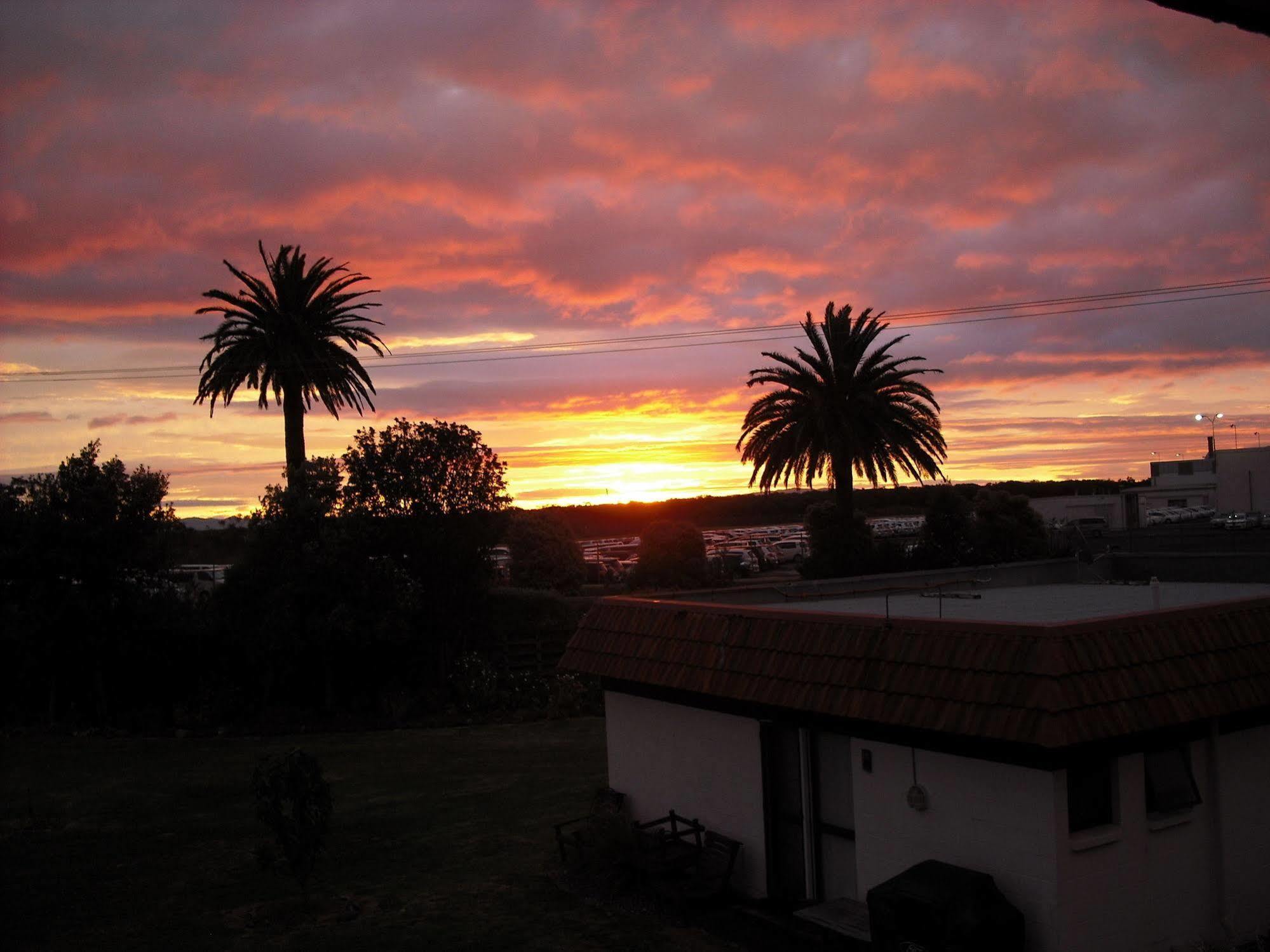 Avalon Motel Thames - Wenzel Motels ภายนอก รูปภาพ